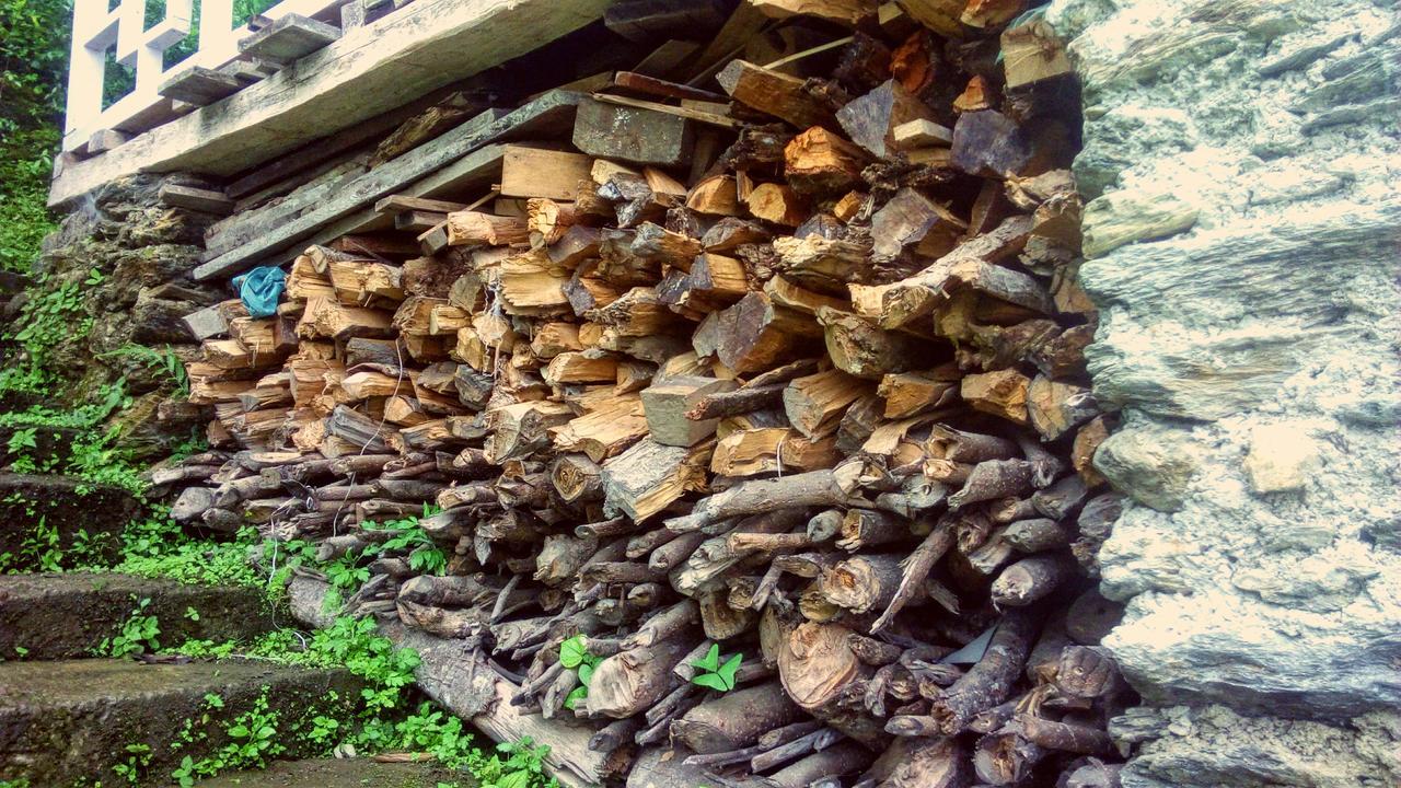 Enchanted Forest Farmstay Gangtok Luaran gambar