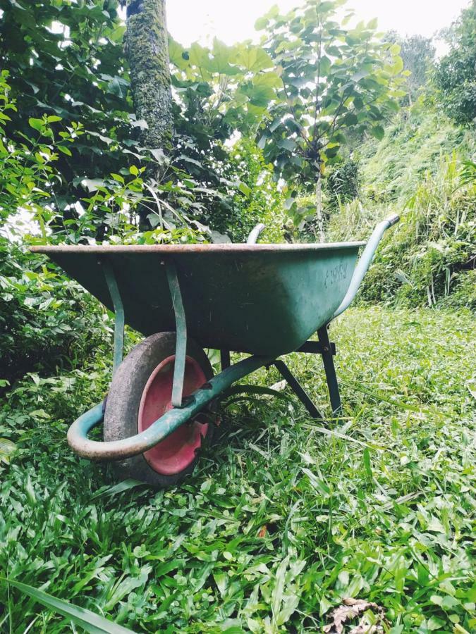 Enchanted Forest Farmstay Gangtok Luaran gambar